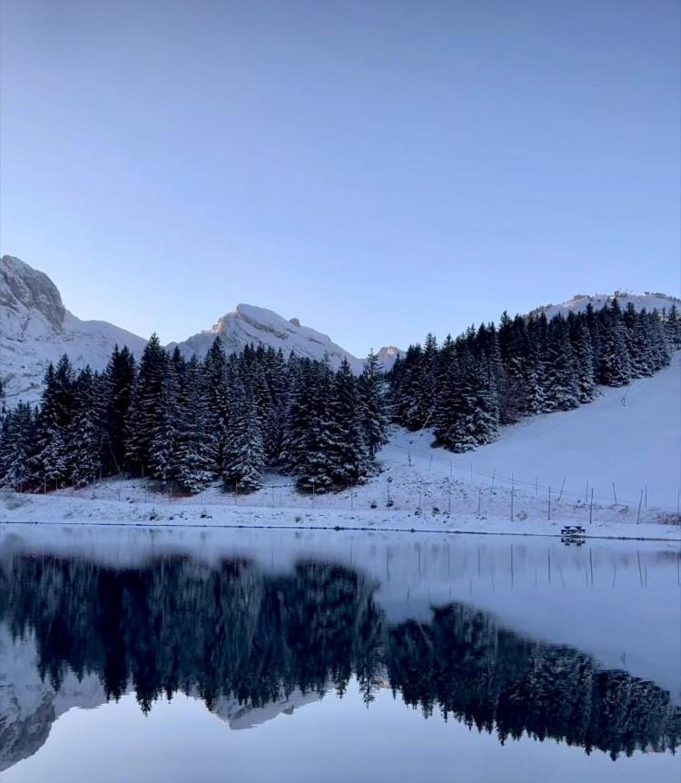 Avec Balcon, Au Pied Des Pistes Et Randos Appartement Villard-de-Lans Buitenkant foto